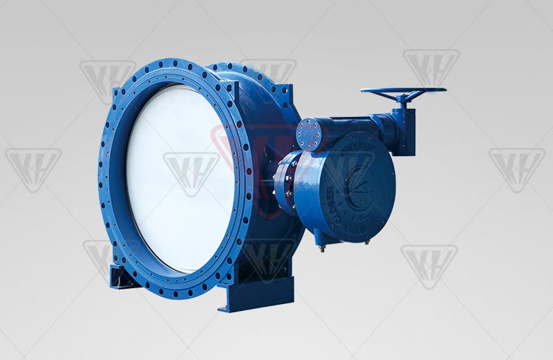 Worm double eccentric butterfly valve