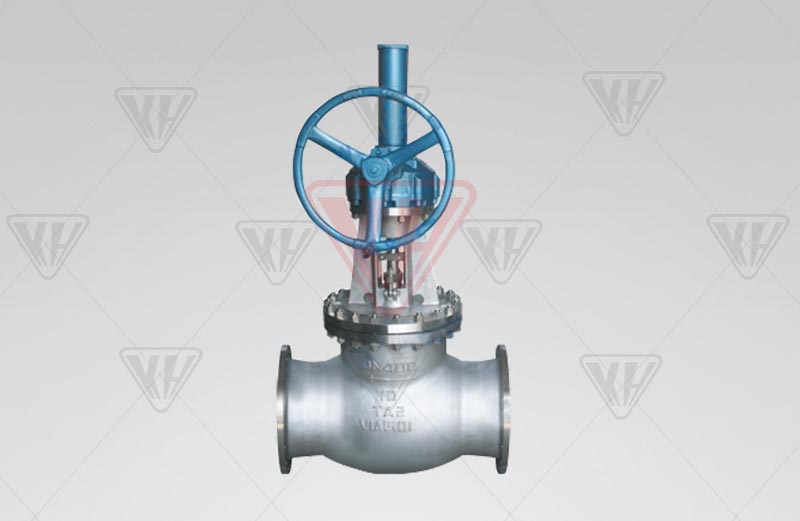 Titanium globe valve